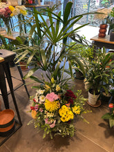 Cargar imagen en el visor de la galería, Conjunto de Planta y Flores