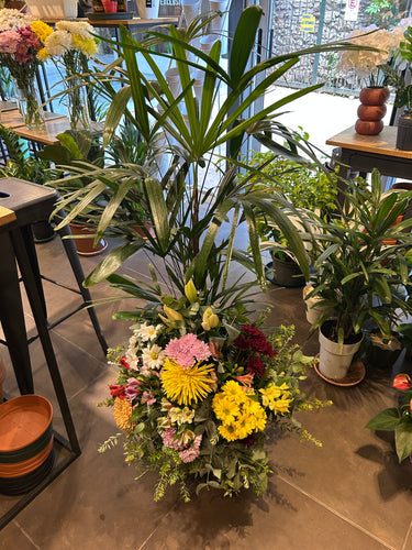 Conjunto de Planta y Flores