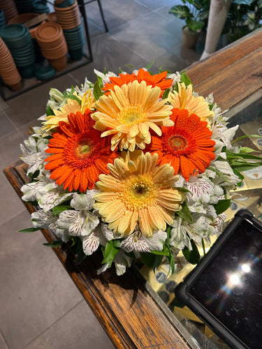 Centro chato 30 cm gerbera