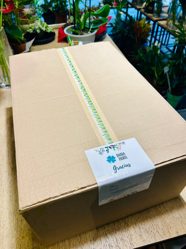 Flower Box