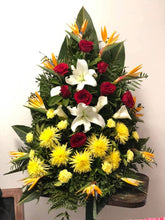 Cargar imagen en el visor de la galería, Rivera Flores - Floreria Palma Palma de Piso